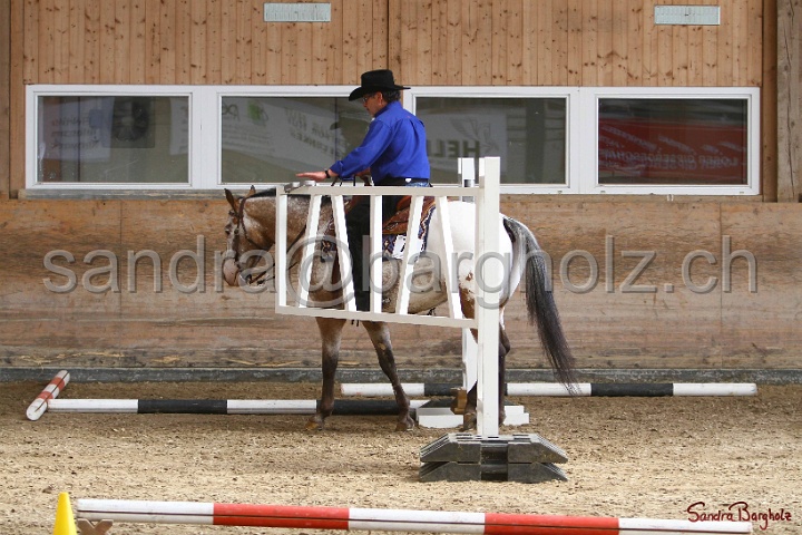 26-ApHC GT_119.jpg